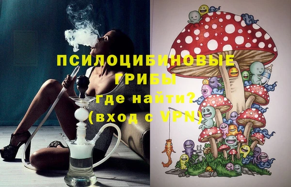 сатива Осинники