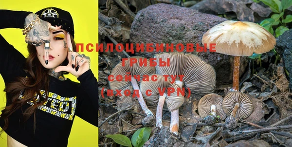 мяу мяу мука Абдулино