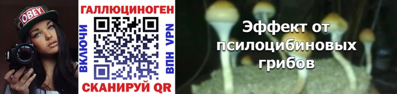 Галлюциногенные грибы прущие грибы  Лосино-Петровский 