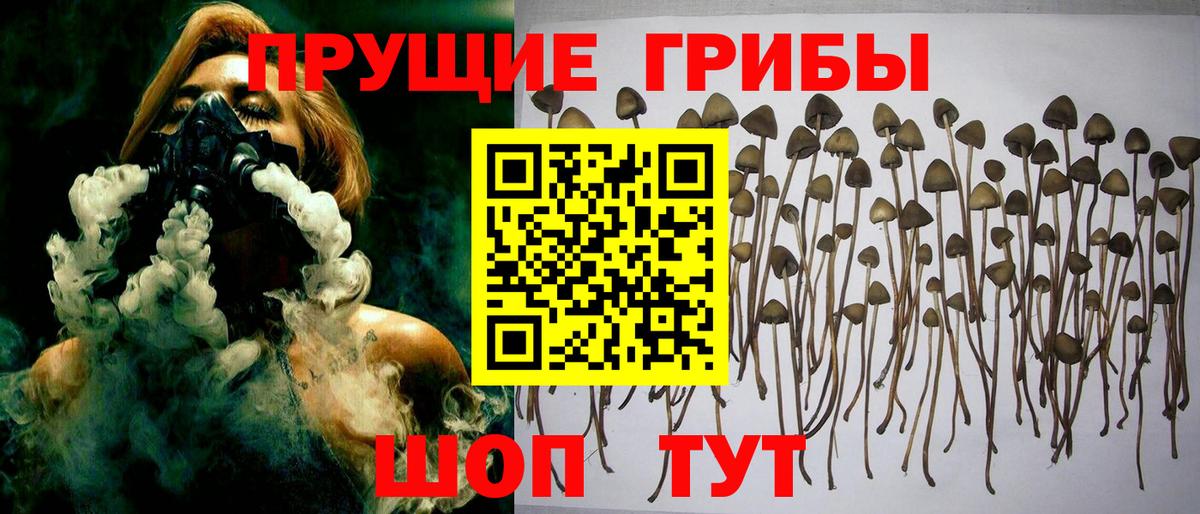 Лосино-Петровский  Псилоцибиновые грибы мухоморы  Вход с VPN 